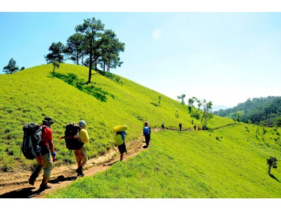 Băng rừng trên cung đường trek đẹp nhất Việt Nam